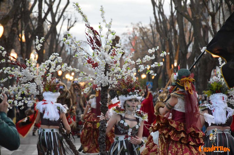 desfile-nacional-carnaval-tomelloso-2022323