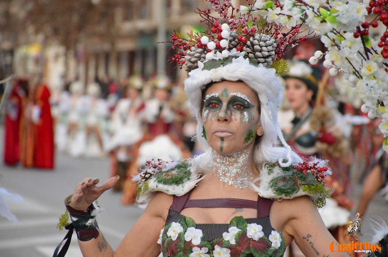 desfile-nacional-carnaval-tomelloso-2022310