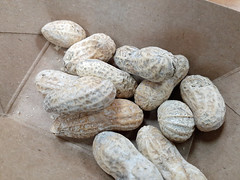 Peanuts In The Shell.