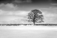 A1 Group 3rd Place Stuart Chapman Wintery Isolation - Section 4 2021/22 Winter