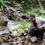 Amphibian sampling activities in La Tahona Creek, Santa Bárbara