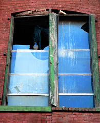 Gowanus Window