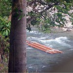 Illegal logging activities found by Soraya-1
