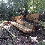 Illegal logging activities found by Soraya-2