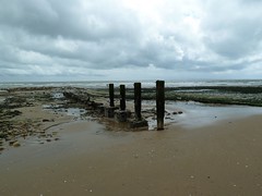 La Tranche sur mer, la plage (3) - Photo of Angles