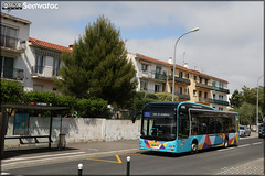 Man Lion’s City Hybrid – Vectalia Perpignan Méditerranée / Sankéo