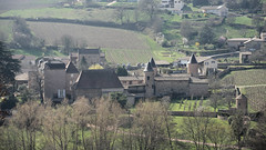 Chasselas Castle - Photo of Tramayes