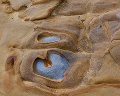 Rock and sandstone 1,  Point Lobos