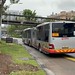 SMRT Buses - MAN NG363F A24 (SMB8023S) on Service 190 - Rear