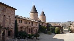 Wine tourism - Photo of Cenves