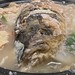 沙鍋魚頭, 豆干牛肉絲, 吃不到臭豆腐, 湘民小館, 台北, 台灣, Taipei, Taiwan