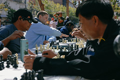 Public chess players, San Francisco (USA)
