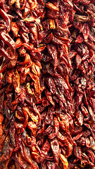 Dried Chili Peppers of Albuquerque New Mexico