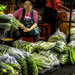 Fresh vegetables also sold in the flower market district in Bangkok, Thailand.  446a