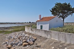 La petite cabane, La Couarde sur mer - Photo of Loix