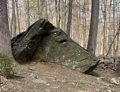 boulder that resembles a dog’s head