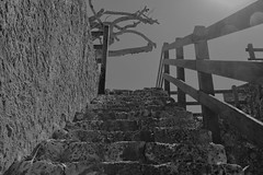 Escalier de pierre - Photo of Goyave