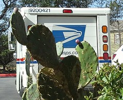 Postal vehicle and cactus.