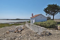 La petite cabane, La Couarde sur mer - Photo of Saint-Martin-de-Ré