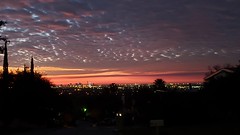 Overlooking downtown San Antonio at sunrise.