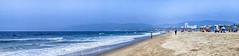 Santa Monica Bay from Venice Beach 2022-05-02fhkyt