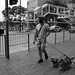 Walking with dogs COVID@HK