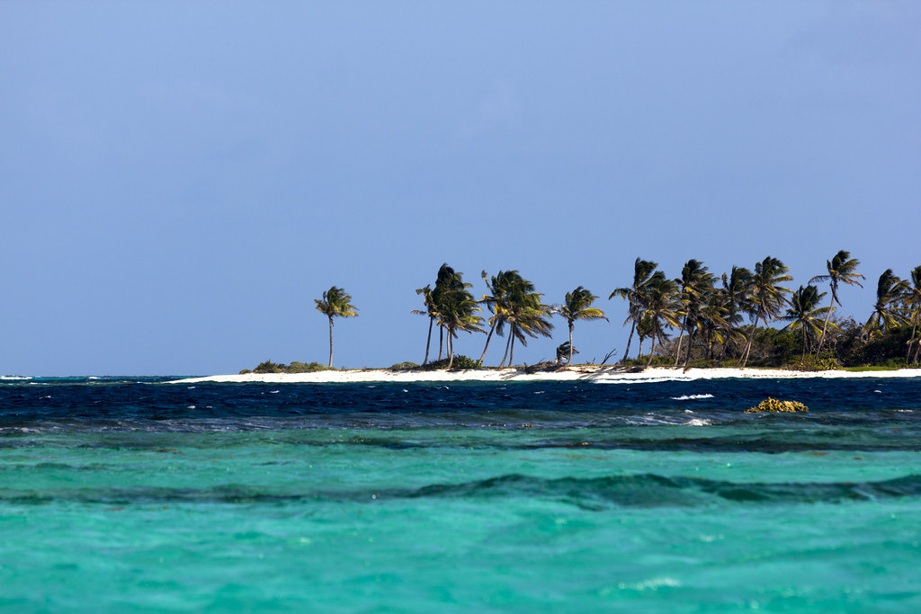 Pointe de l'île Petit Tabac à Tobago Cays