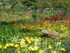 Claude Monet-s Garden - Giverny - Photo of Saint-Marcel