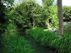 Claude Monet-s Water Garden - Giverny - Photo of Saint-Just