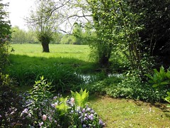 Claude Monet-s Water Garden - Giverny - Photo of Mousseaux-sur-Seine