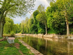 La rivière Bèze. Bourgogne. France. 2022. - Photo of Savolles