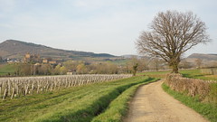 Peaceful path - Photo of Jalogny