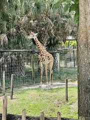 Zoo Tampa 2022