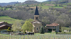 Beautiful silhouette - Photo of Montagny-sur-Grosne