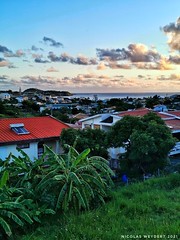 Martinique 2021 - 018 - Photo of Saint-Esprit