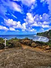 Martinique 2021 - 114 - Photo of Basse-Pointe