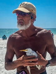 Taking a sick egret to the Seabird Sanctuary