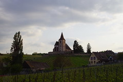1332 - Photo of Kintzheim