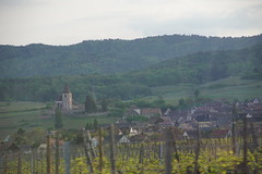 1316 - Photo of Kintzheim