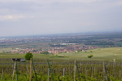 1214 - Photo of Orschwihr
