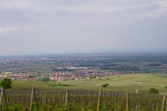 1215 - Photo of Westhalten