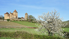The Glory of Spring (explored) - Photo of Germolles-sur-Grosne