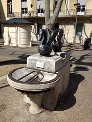 fontaine cygne (CARPENTRAS,FR84)