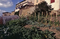 Montromant (Rhône) - Photo of Montrottier