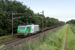 SNCF BB 37048 - Photo of Wickersheim-Wilshausen