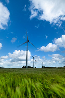 Wheat and wind (turbine)