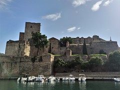 Collioure - château royal (Templiers) - Photo of Port-Vendres
