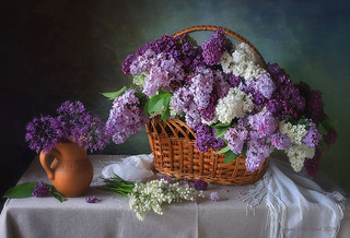 Still life with a basket of lilacs