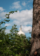 US Capitol from Botanic Gardens