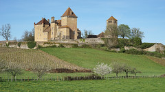 The castle of Pierreclos in spring (explored) - Photo of Saint-Jacques-des-Arrêts